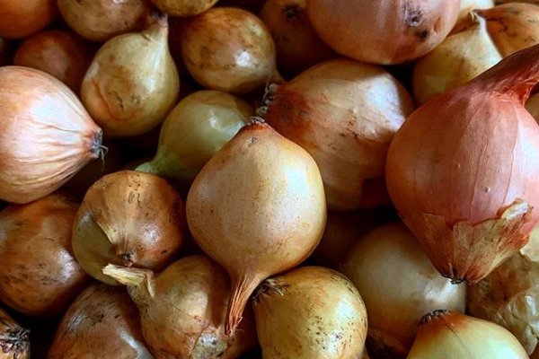 Кракен сайт kr2web