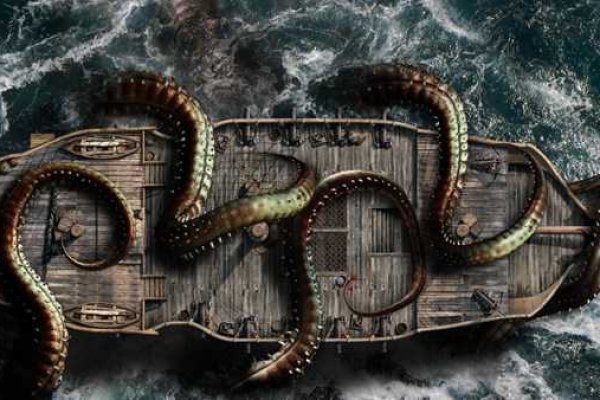 Kraken19 at